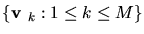 $\{\mbox{\boldmath${{\bf v}}$ }_k: 1 \leq k \leq M\}$
